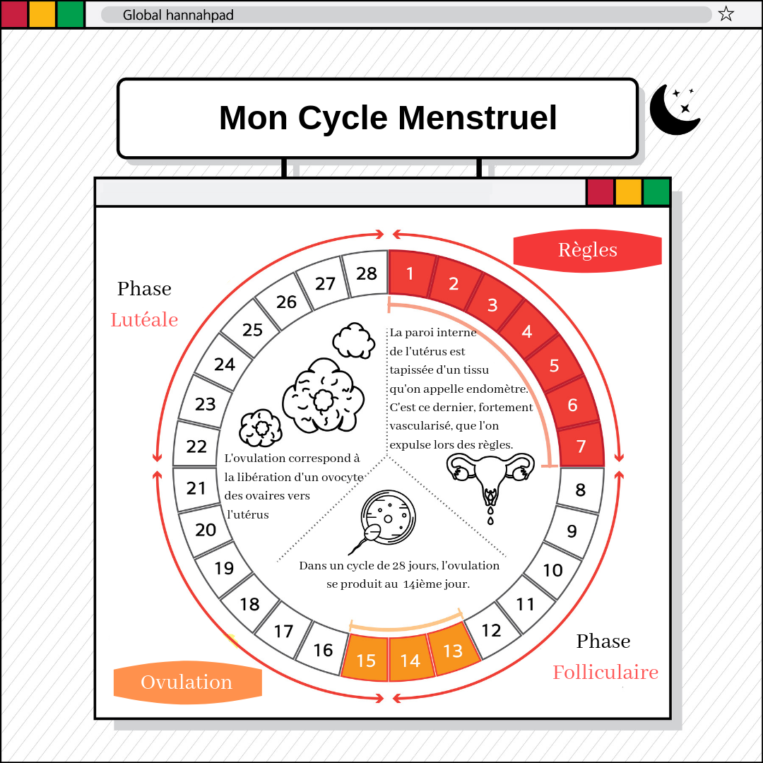 Les règles : cycle menstruel, douleurs et autres symptômes