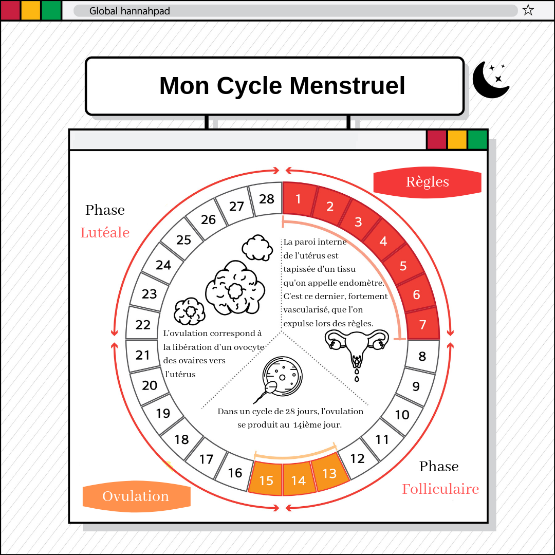 Mieux comprendre mon cycle menstruel | Le Blog Hannahpad